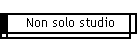 Non solo studio