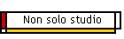 Non solo studio