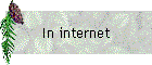 In internet